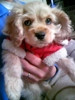 ���h�����񂪂���Ă�����