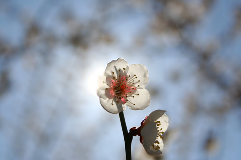 ��h���~��t�@�\���V�h