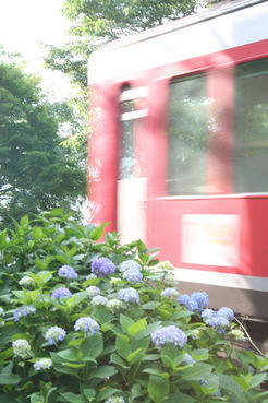 ��h���~��t�@�\���V�h