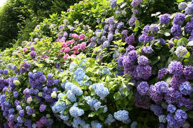 ��h���~��t�@�\���V�h