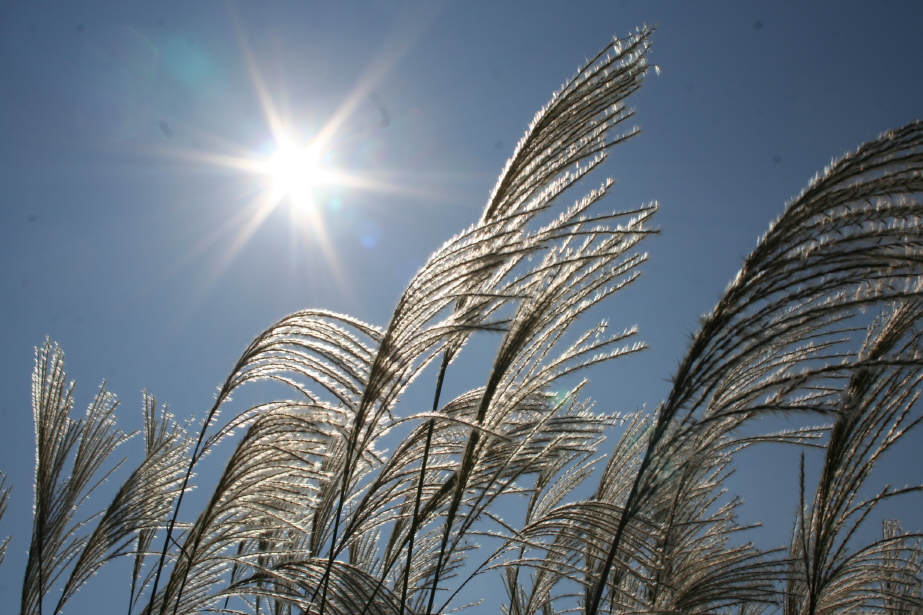 ��h���~��t�@�\���V�h