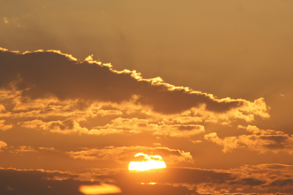 ��h���~��t�@�\���V�h