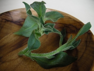 ���b�c���p�[�\�i���R���s���[�^�[