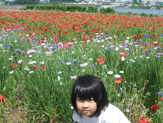 �|�؂� ���������