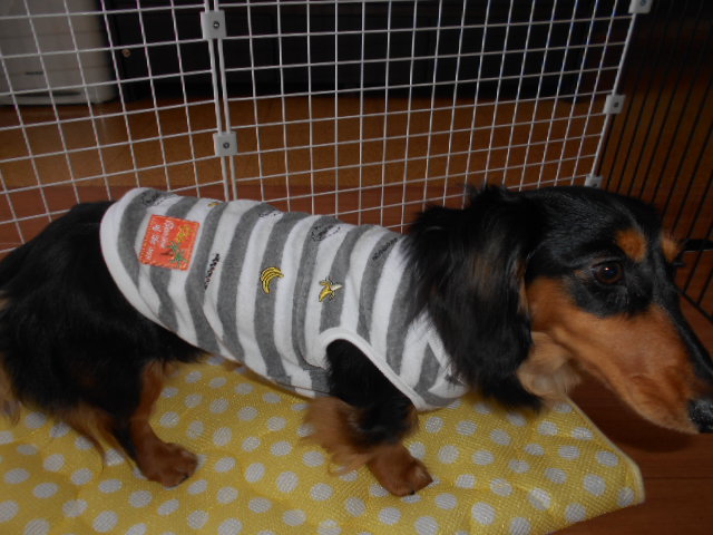 �`�����ƈꏏ�Ɂ`