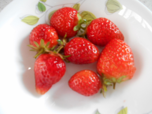 �`�����ƈꏏ�Ɂ`