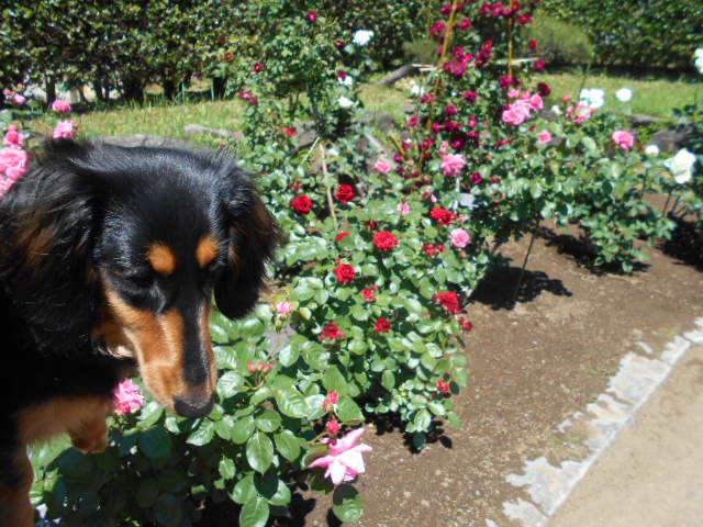 �`�����ƈꏏ�Ɂ`