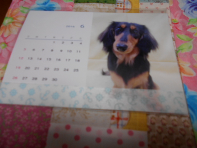 �`�����ƈꏏ�Ɂ`