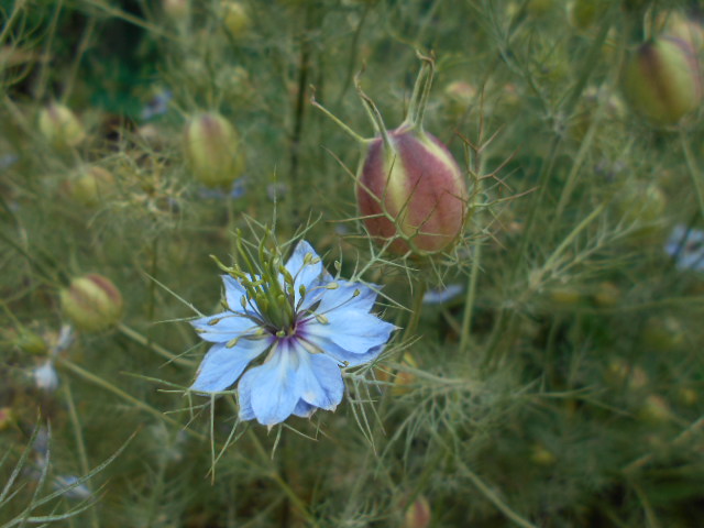 �`�����ƈꏏ�Ɂ`