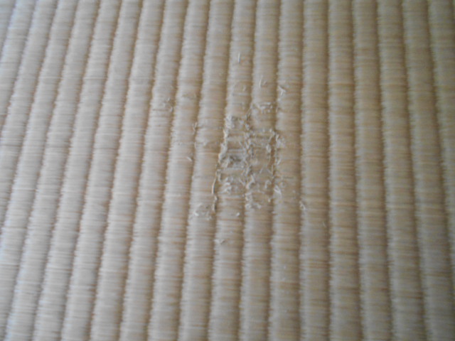 �`�����ƈꏏ�Ɂ`