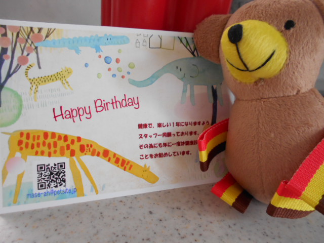 �`�����ƈꏏ�Ɂ`