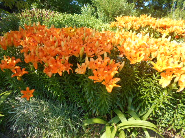 �`�����ƈꏏ�Ɂ`