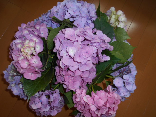 �`�����ƈꏏ�Ɂ`