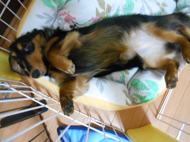 �`�����ƈꏏ�Ɂ`