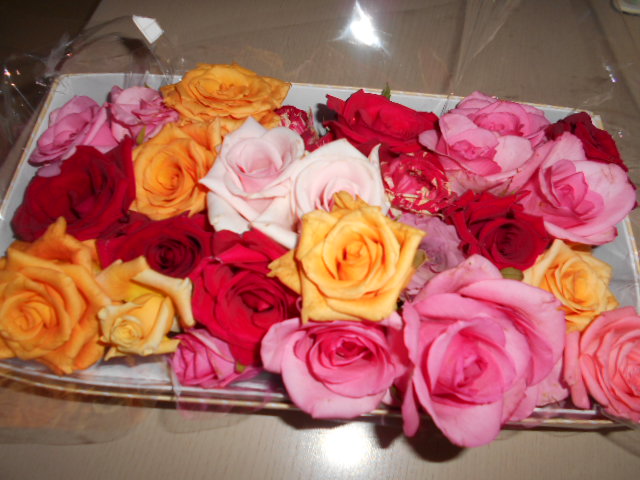 �`�����ƈꏏ�Ɂ`