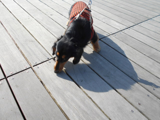 �`�����ƈꏏ�Ɂ`