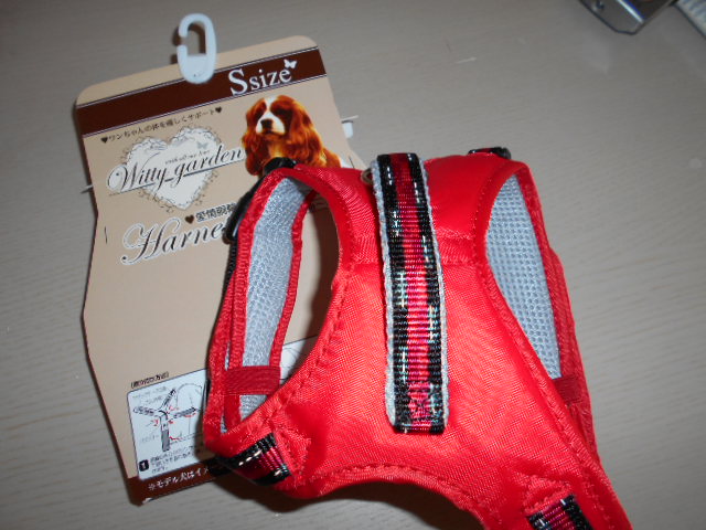 �`�����ƈꏏ�Ɂ`