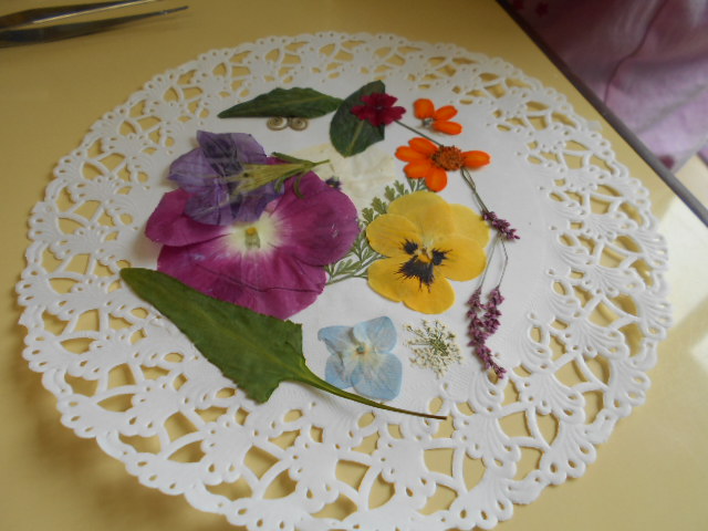 �`�����ƈꏏ�Ɂ`