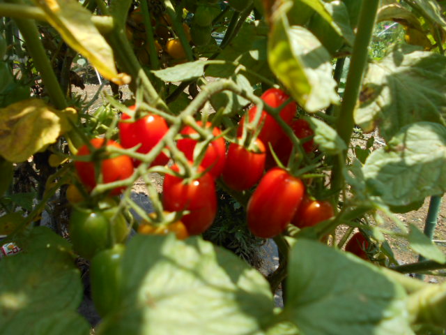 �`�����ƈꏏ�Ɂ`