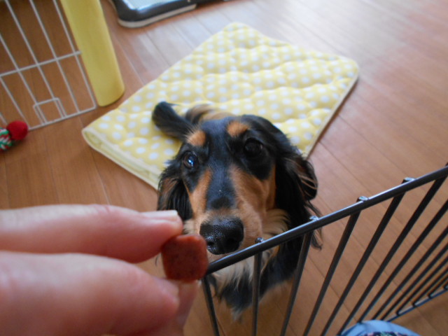 �`�����ƈꏏ�Ɂ`