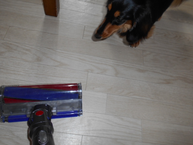 �`�����ƈꏏ�Ɂ`