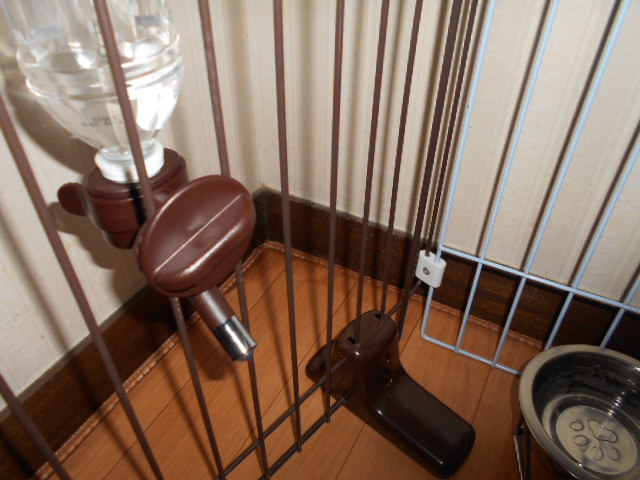 �`�����ƈꏏ�Ɂ`