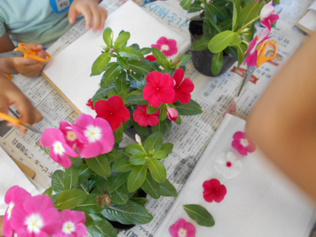 �`�����ƈꏏ�Ɂ`