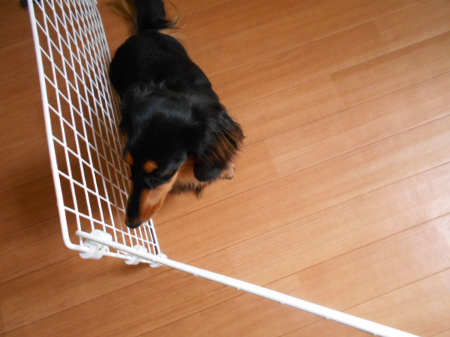 �`�����ƈꏏ�Ɂ`