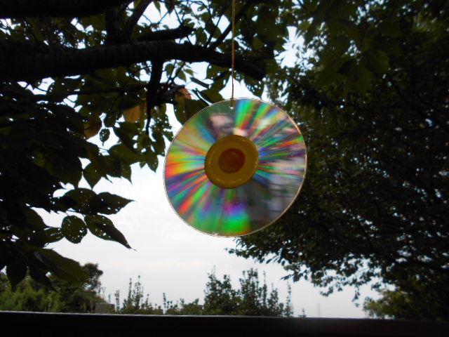 �`�����ƈꏏ�Ɂ`