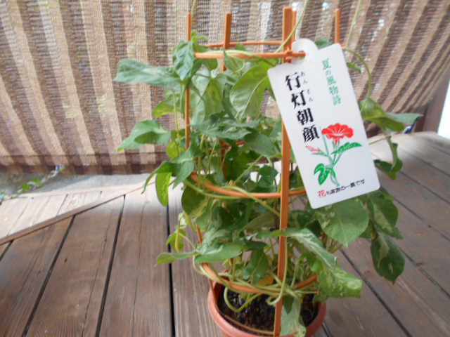 �`�����ƈꏏ�Ɂ`