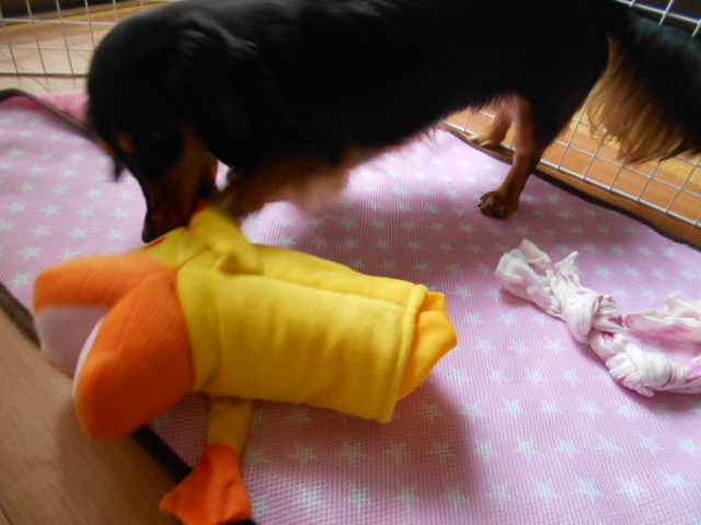 �`�����ƈꏏ�Ɂ`