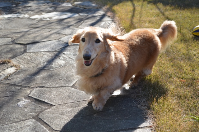 �`�����ƈꏏ�Ɂ`