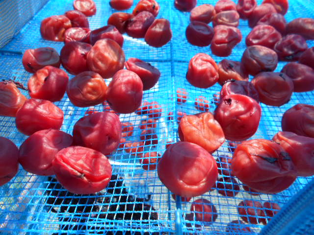 �`�����ƈꏏ�Ɂ`