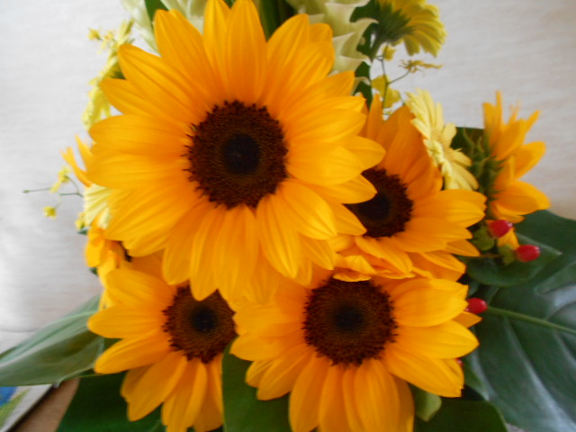 �`�����ƈꏏ�Ɂ`