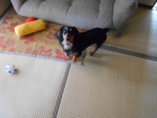 �`�����ƈꏏ�Ɂ`