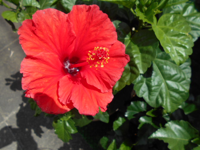 �`�����ƈꏏ�Ɂ`