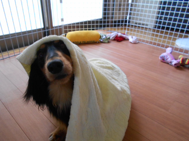 �`�����ƈꏏ�Ɂ`