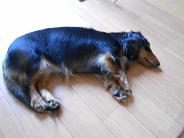 �`�����ƈꏏ�Ɂ`