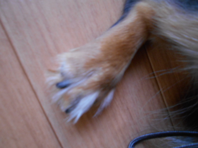 �`�����ƈꏏ�Ɂ`