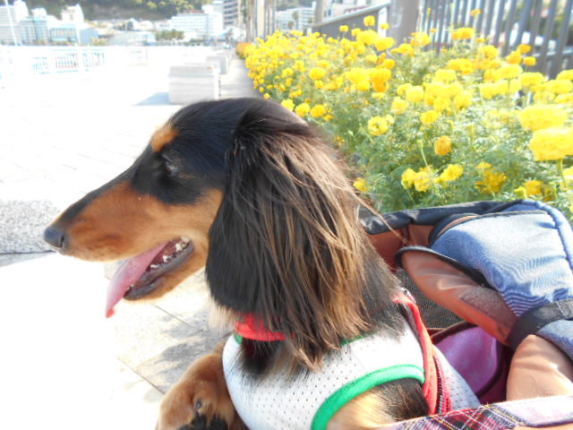 �`�����ƈꏏ�Ɂ`