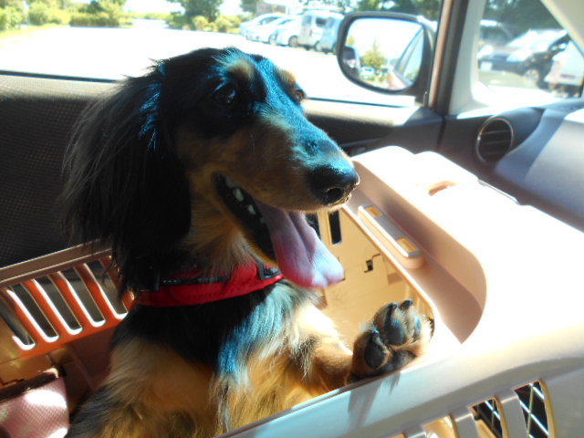 �`�����ƈꏏ�Ɂ`