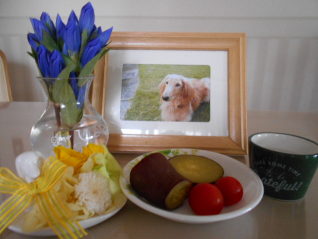 �`�����ƈꏏ�Ɂ`