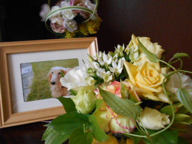 �`�����ƈꏏ�Ɂ`