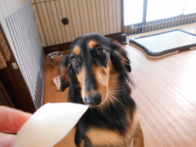 �`�����ƈꏏ�Ɂ`