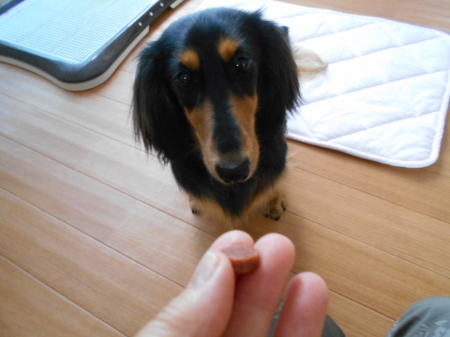 �`�����ƈꏏ�Ɂ`