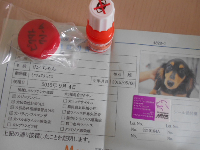 �`�����ƈꏏ�Ɂ`