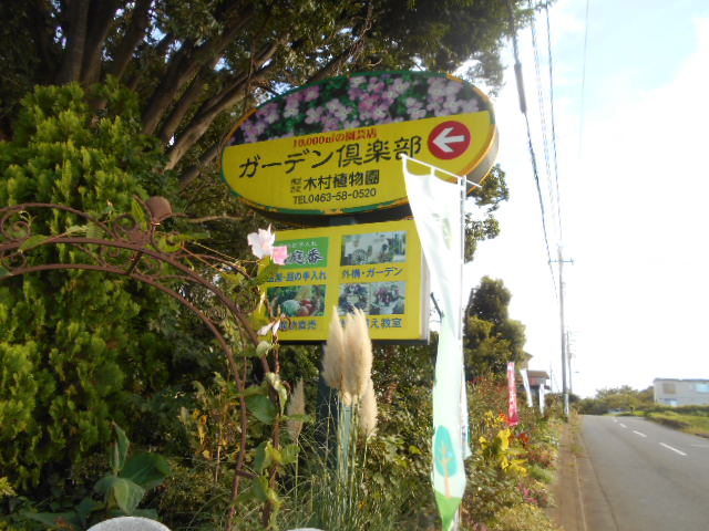 �`�����ƈꏏ�Ɂ`