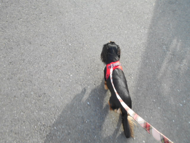 �`�����ƈꏏ�Ɂ`