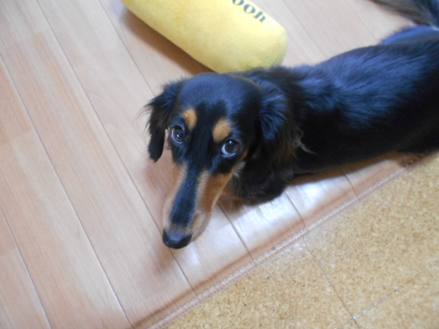 �`�����ƈꏏ�Ɂ`