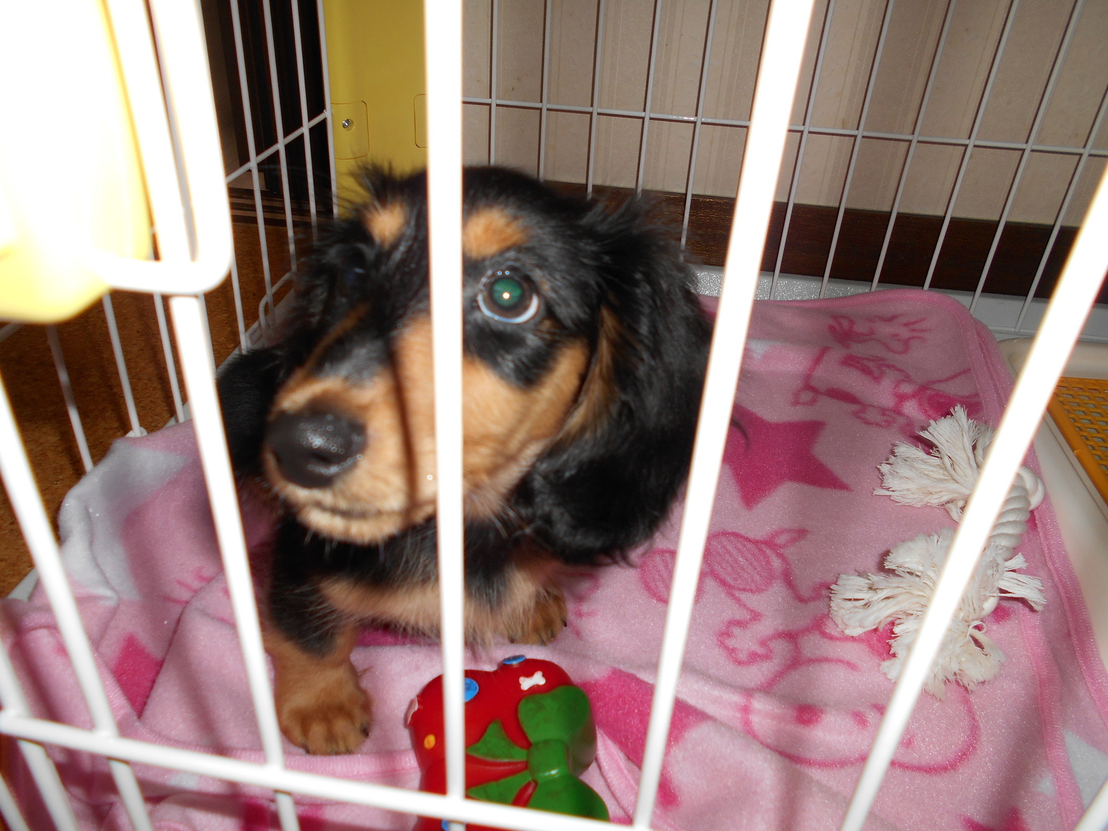 �`�����ƈꏏ�Ɂ`